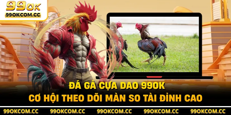 Đá Gà Cựa Dao 99OK - Cơ Hội Theo Dõi Màn So Tài Đỉnh Cao